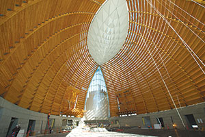 Use of a natural material and a pattern can both evoke the biophilia effect