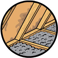 Mold in attic