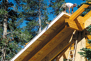 Structural Insulated Panels