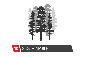 Sustainably building with engineered wood