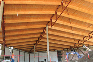Glulam at Great Wolf Lodge