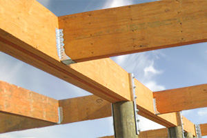 LVL beams