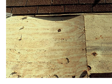 Buckling plywood panels